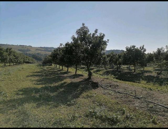 FARM FOR SALE IN LEISURE BAY